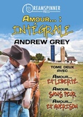 Cover: Amour... : Integrale tome 2 - Dreamspinner Press