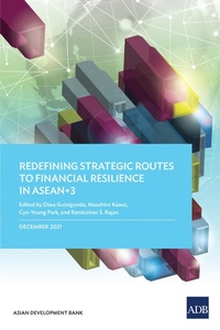 Abbildung von: Redefining Strategic Routes to Financial Resilience in ASEAN+3 - Asian Development Bank