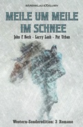 Cover: Meile um Meile im Schnee - Western-Sonderedition: 3 Romane - epubli