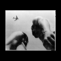 Enlarge image Cover: Metal Bird - 375 Media GmbH