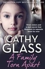Cover: A Family Torn Apart - HarperCollins