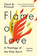Cover: Flame of Love - IVP Academic