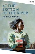 Cover: At the Bottom of the River - Picador