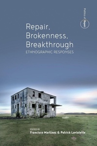 Enlarge image Cover: Repair, Brokenness, Breakthrough - Berghahn Books