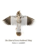 Cover: The Ghost of Every Feathered Thing - Futurecycle Press