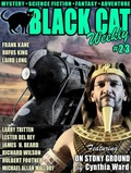 Cover: Black Cat Weekly #23 - Wildside Press