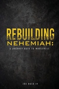 Cover: Rebuilding Nehemiah - Xulon Press