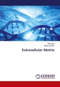 Cover: Extracellular Matrix - LAP Lambert Academic Publishing