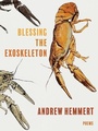 Bild: Blessing the Exoskeleton - University of Pittsburgh Press
