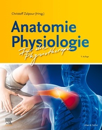 Abbildung von: Anatomie Physiologie für die Physiotherapie - Urban & Fischer