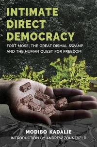 Abbildung von: Intimate Direct Democracy - On Our Own Authority!