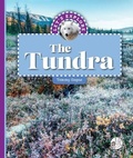 Cover: Let's Explore the Tundra - Child's World, Inc. Wonder Books