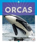 Cover: Orcas - Child's World, Inc. Stride