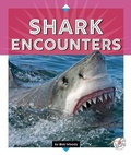 Cover: Shark Encounters - Child's World, Inc. Stride