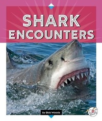 Abbildung von: Shark Encounters - Child's World, Inc. Stride