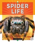 Cover: Spider Life - Child's World, Inc. Stride
