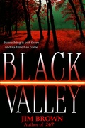 Cover: Black Valley - BOOKBABY