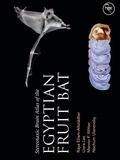 Abbildung von: Stereotaxic Brain Atlas of the Egyptian Fruit Bat - Academic Press
