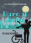Cover: Burn it Down (Texas Heat, #4) - Texas Heat