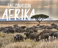 Abbildung von: Faszination Afrika 2023 - Korsch Verlag