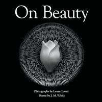 Enlarge image Cover: On Beauty - Anomolaic Press