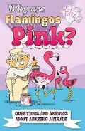 Cover: Why Are Flamingos Pink? - Arcturus Editions