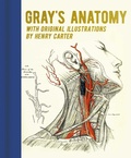 Cover: Gray's Anatomy - Sirius Entertainment