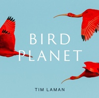Enlarge image Cover: Bird Planet - Abrams