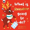 Cover: What is Reindeer Going to do?: Volume 6 - Happy Yak