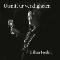 Abbildung von: Utsnitt ur verkligheten - Books on Demand
