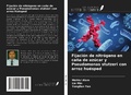 Cover: Fijaci&oacute;n de nitr&oacute;geno en ca&ntilde;a de az&uacute;car y Pseudomonas stutzeri con arroz hu&eacute;sped - Ediciones Nuestro Conocimiento