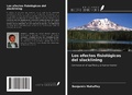 Cover: Los efectos fisiol&oacute;gicos del slacklining - Ediciones Nuestro Conocimiento