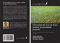 Cover: Enfermedad del arroz de Hispa, modelos de aprendizaje profundo - Ediciones Nuestro Conocimiento