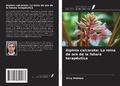 Cover: Alpinia calcarata: La mina de oro de la futura terap&eacute;utica - Ediciones Nuestro Conocimiento