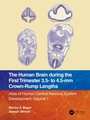 Cover: The Human Brain during the First Trimester 3.5- to 4.5-mm Crown-Rump Lengths - CRC Press