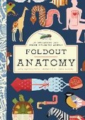 Cover: Foldout Anatomy - Bushel & Peck Books