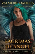 Cover: L&aacute;grimas de &Aacute;ngel - Valmore Daniels