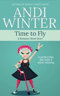 Cover: Time to Fly - Andi Winter