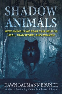 Enlarge image Cover: Shadow Animals - Bear & Company