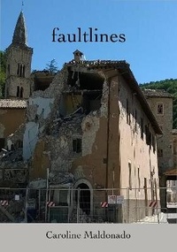 Enlarge image Cover: Faultlines - VOLE