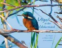 Abbildung von: Vögel in der Uckermark - Schibri-Vlg