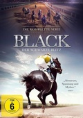 Cover: Black, der schwarze Blitz - Spirit Media