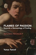 Cover: Flames of Passion - Beadle Books