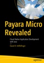 Cover: Payara Micro Revealed - APress