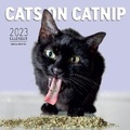 Cover: Cats on Catnip Wall Calendar 2023 - Workman Publishing