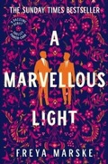 Cover: A Marvellous Light - Tor