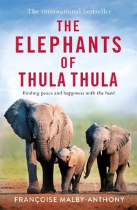 Abbildung von: The Elephants of Thula Thula - Macmillan