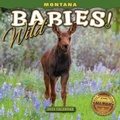 Cover: 2023 MT Wild Babies Mini Calendar - Farcountry Press