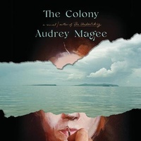 Enlarge image Cover: The Colony - Dreamscape Media
