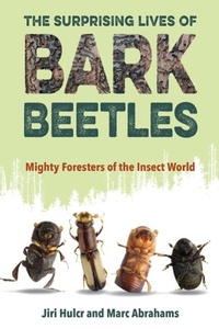 Abbildung von: The Surprising Lives of Bark Beetles - University Press of Florida